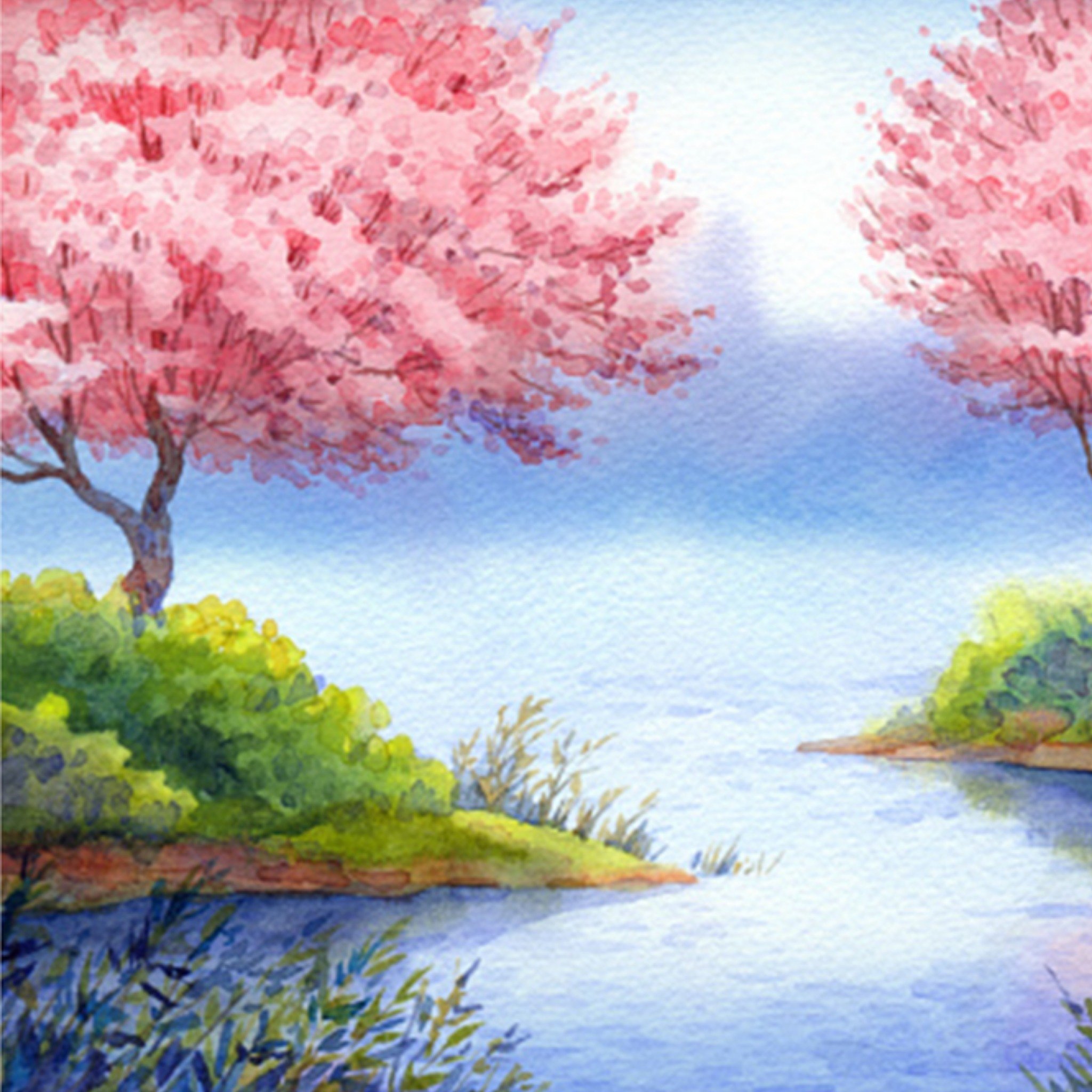 Greetz Verjaardag Kersenbloesem Vierkant