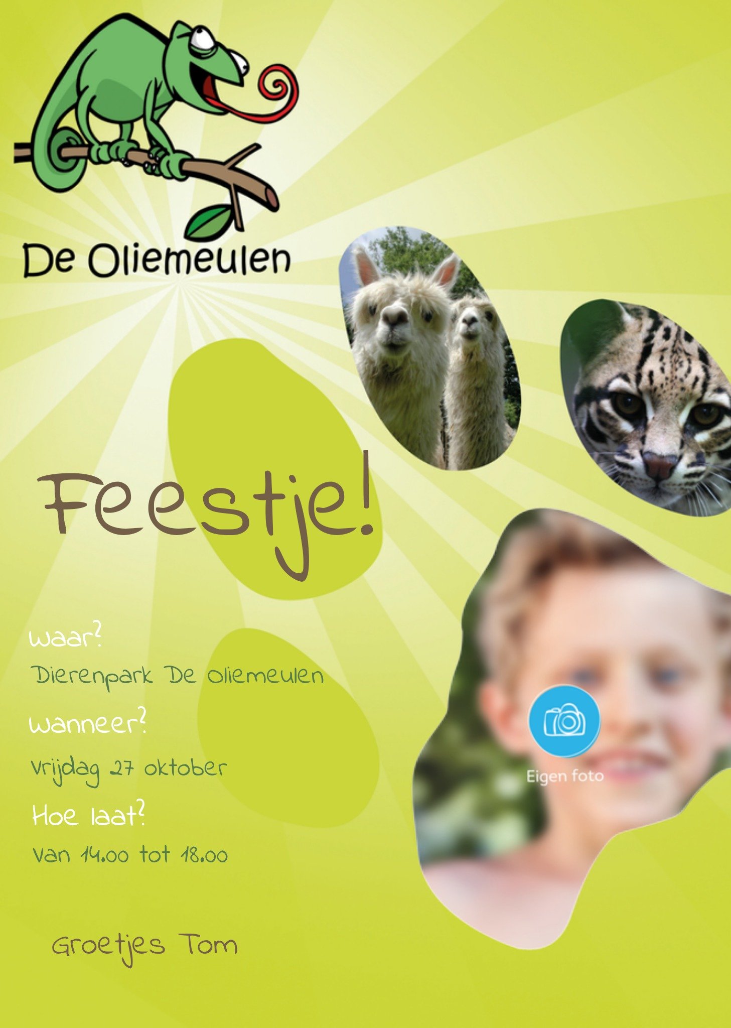 Greetz Kinderfeestje Uitnodiging Foto De Oliemeulen Standard Card