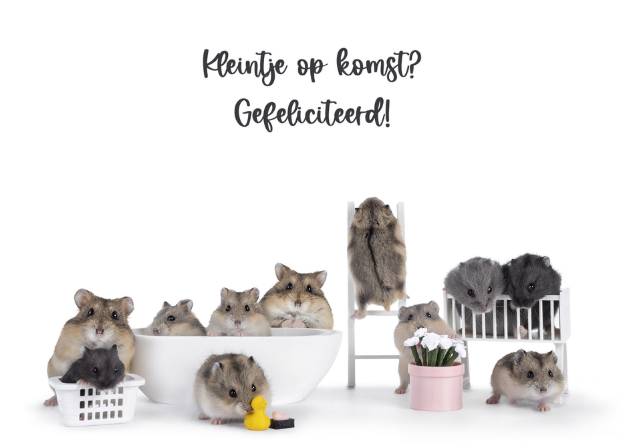 Zwangerschapskaart hamsters Kaart Catchy Images