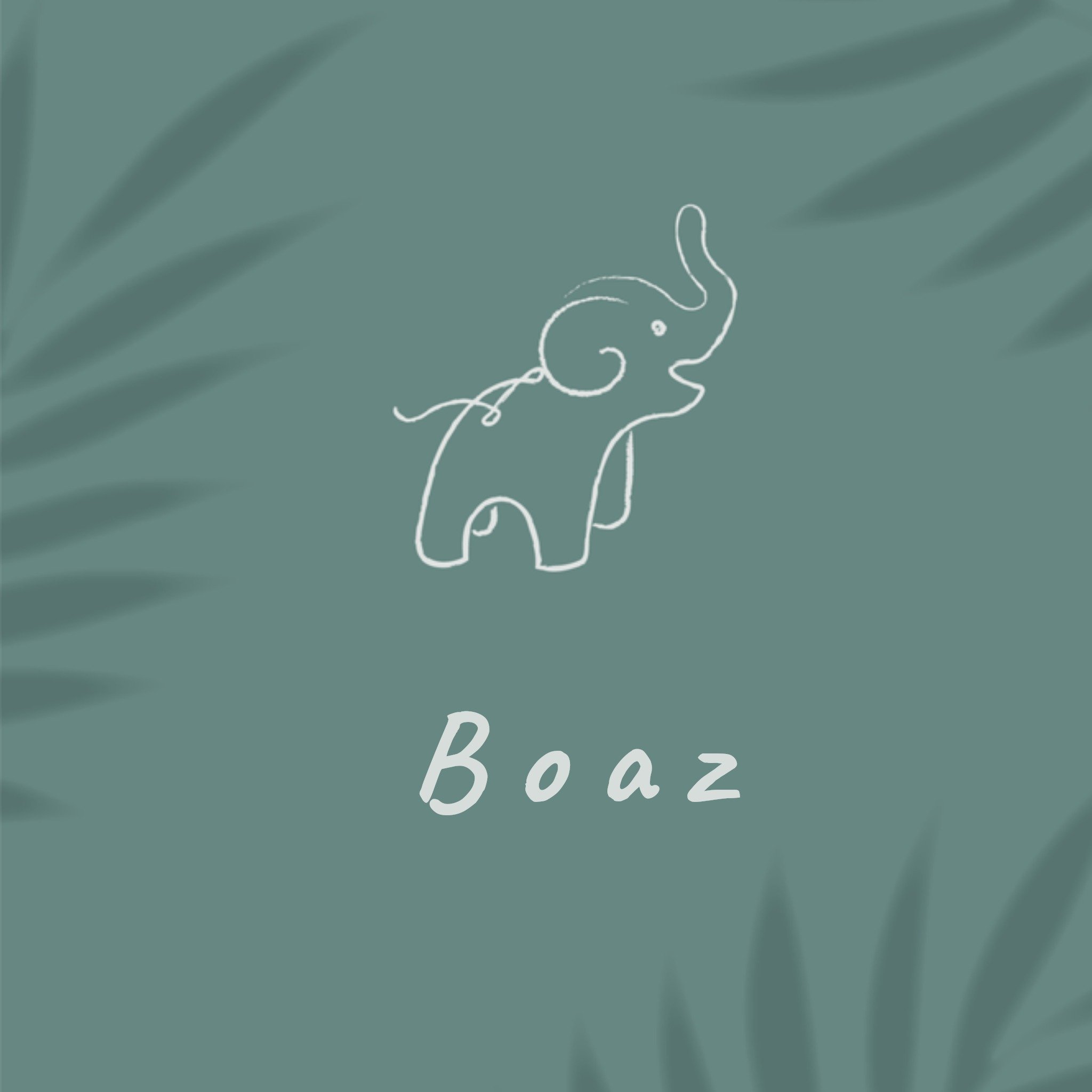 Greetz Geboortekaart Olifant Vierkant