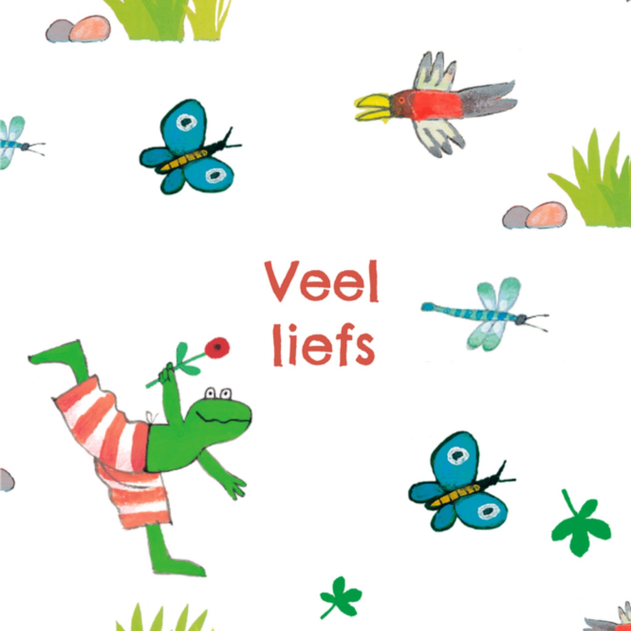 Zomaar kaart Vlinders Vierkante Kaart Kikker