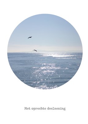 Ronde Zeefoto Met Oprechte Deelneming Kaart