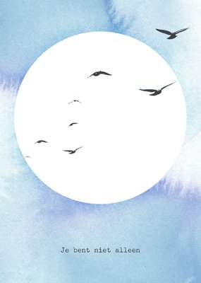 Bright Spot | Sterkte kaart | vogels | niet alleen