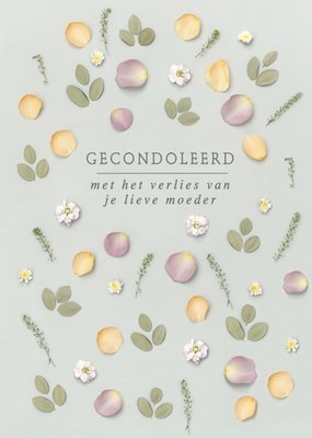 UK Greetings | Condoleancekaart | Gecondoleerd met je lieve moeder