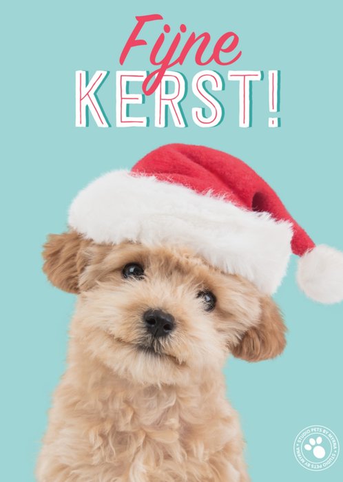 Studio Pets | Kerstkaart | Hond