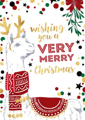 TMS | Kerst | Lama | Stippen