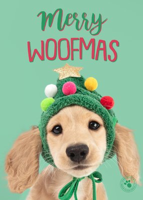 Studio Pets | Kerstkaart | Merry Woofmas
