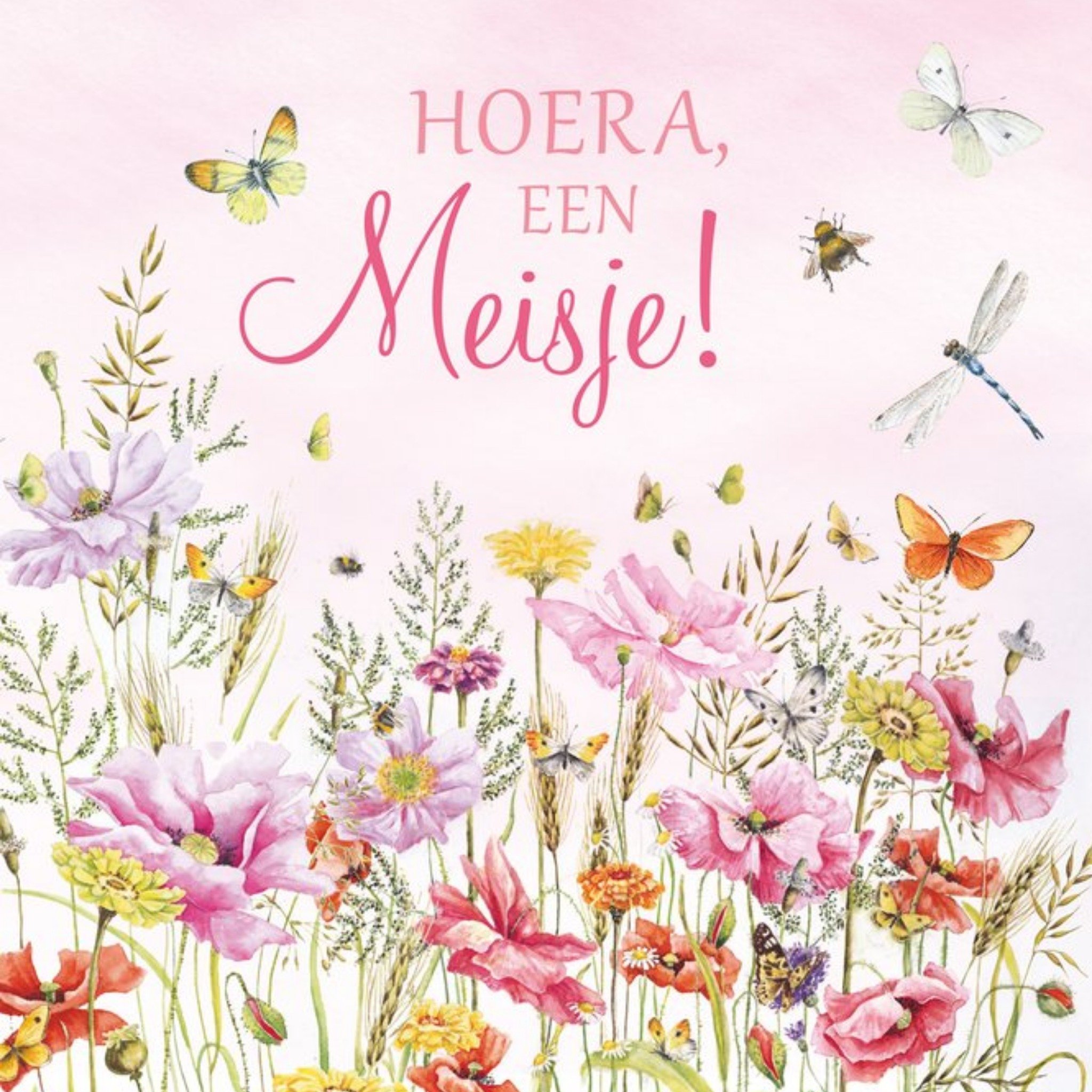 Janneke Brinkman Geboortekaart Hoera een meisje Vierkant