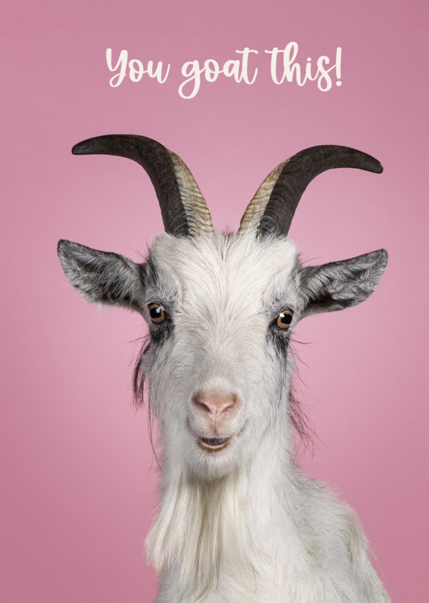 Succeskaart You goat this! Grappig Kaart Catchy Images