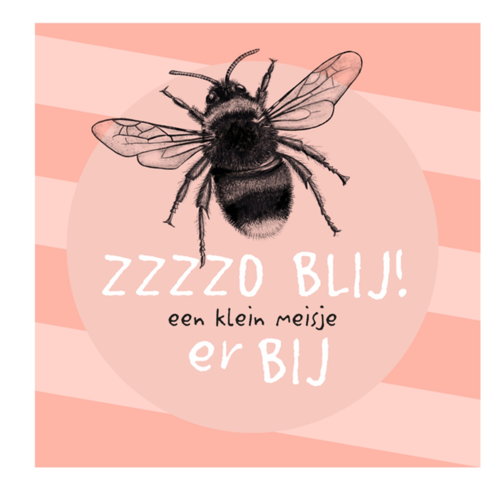 Greetz Geboortekaart bijtje meisje Vierkant