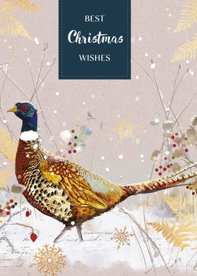 TMS | Kerst | Fazant | Christmas wishes