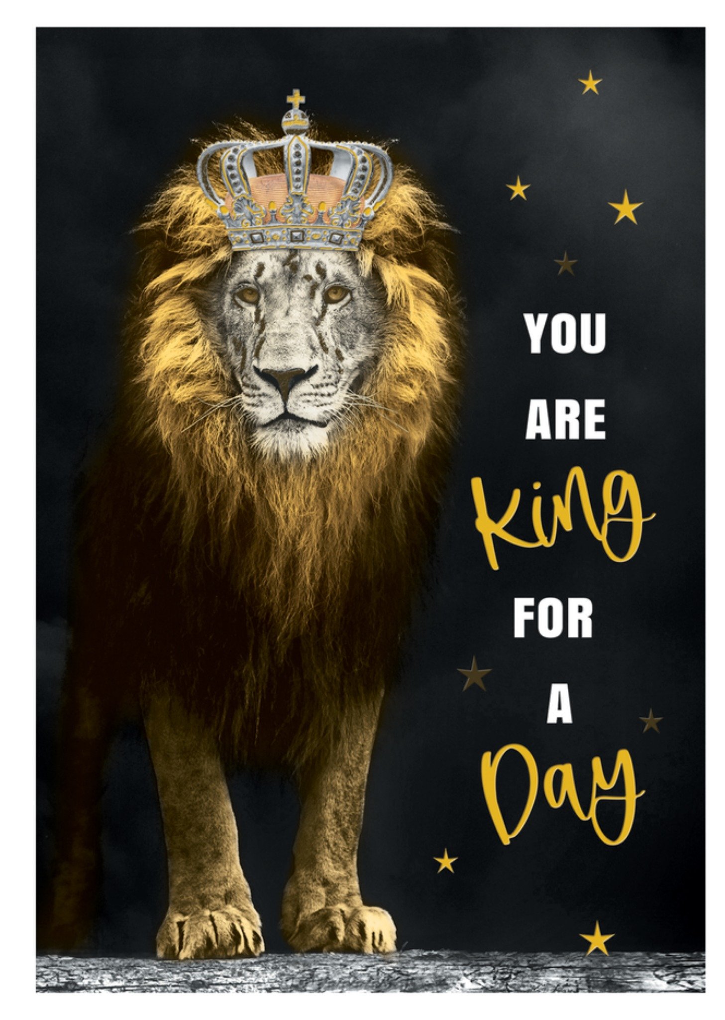 TMS Vaderdagkaart You are king for a day Greetz