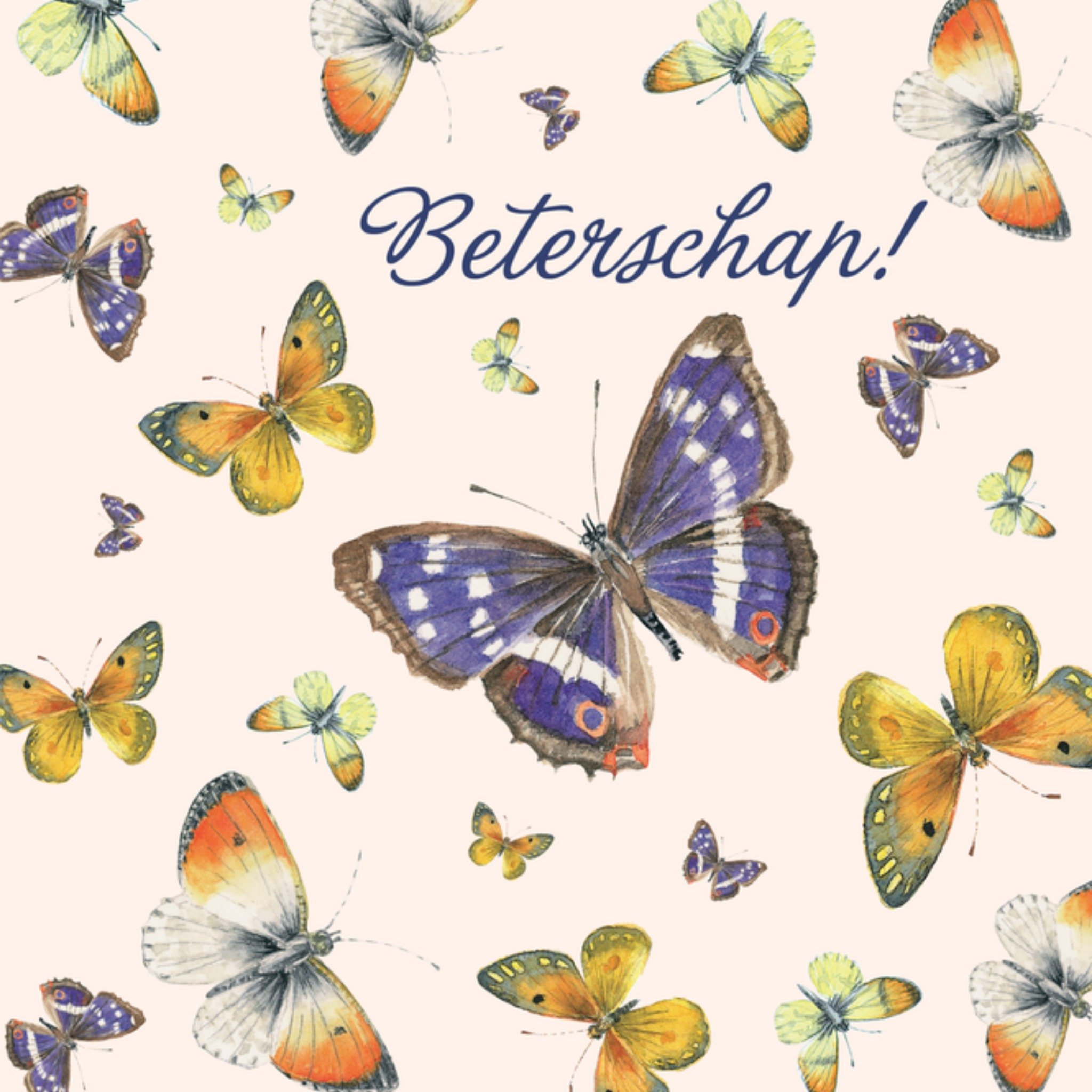 Beterschapskaart Vlinder Vierkante Kaart Janneke Brinkman