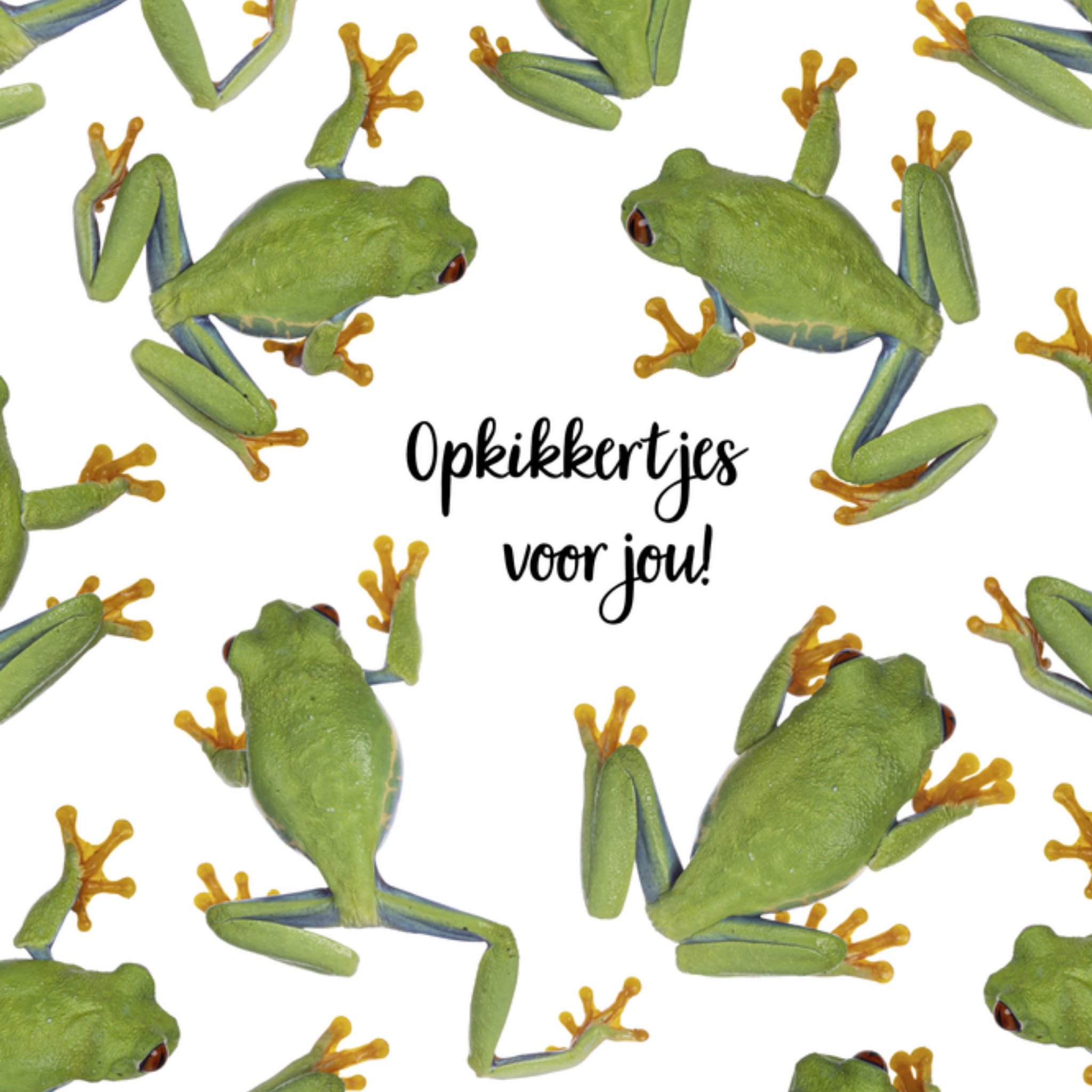 Beterschapskaart Opkikkertjes voor jou Vierkante Kaart Catchy Images