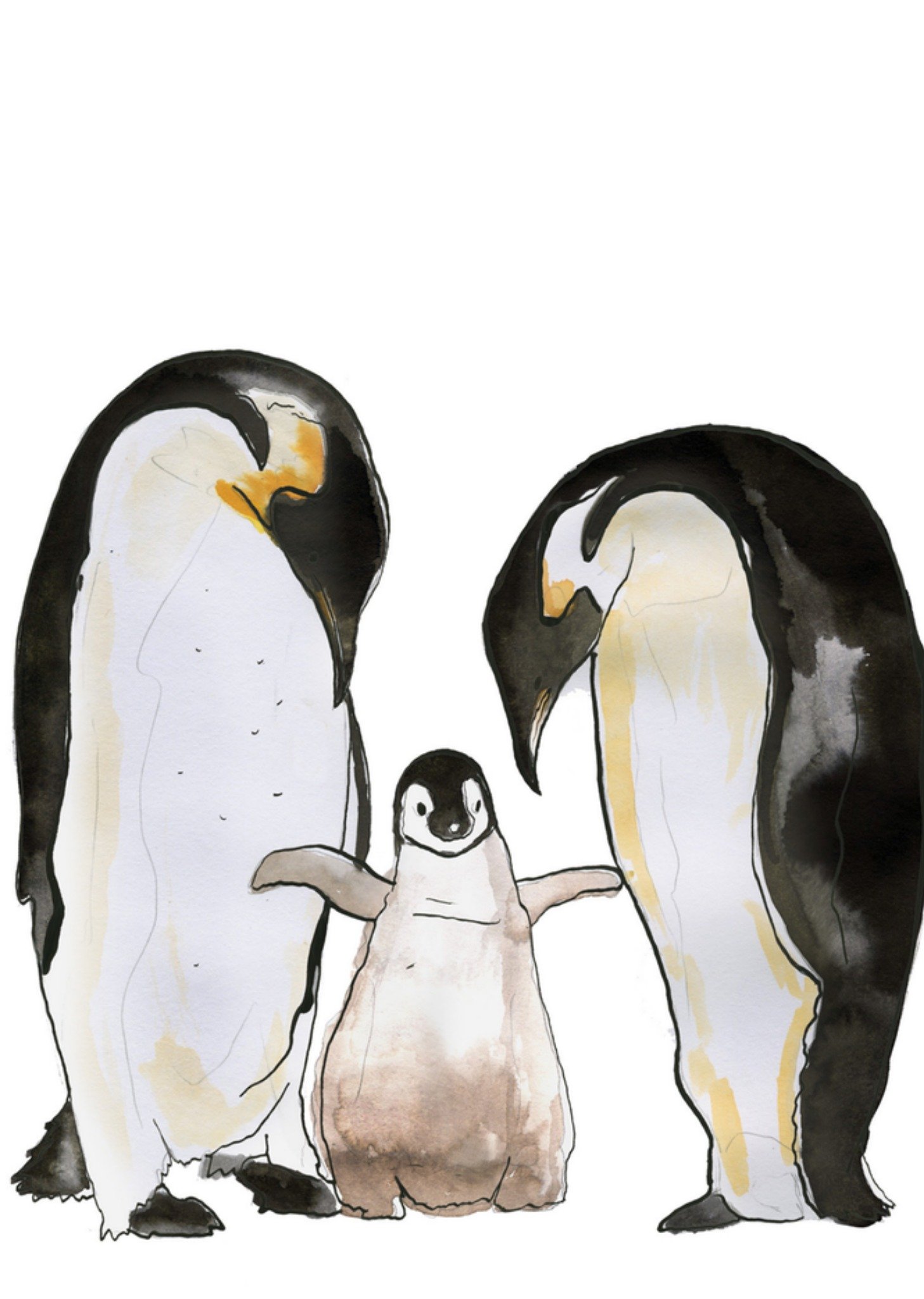 Marie Bodie Geboortekaart pinguins Kaart Marie Bodié