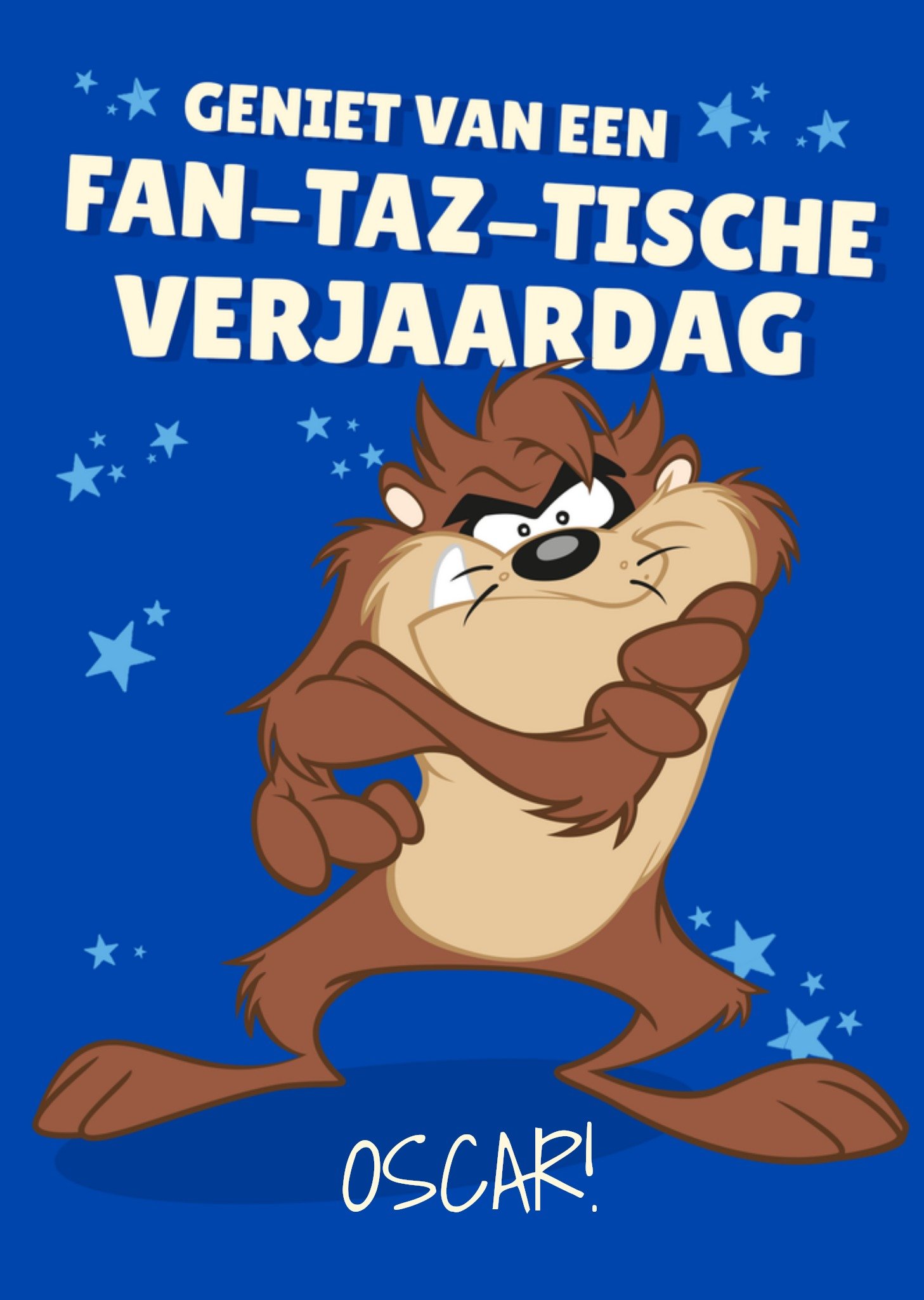 Warner Bros Verjaardagskaart Tasmanian Devil Kaart Looney Tunes