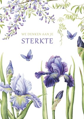 Janneke Brinkman | Denken aan kaart | Sterkte 