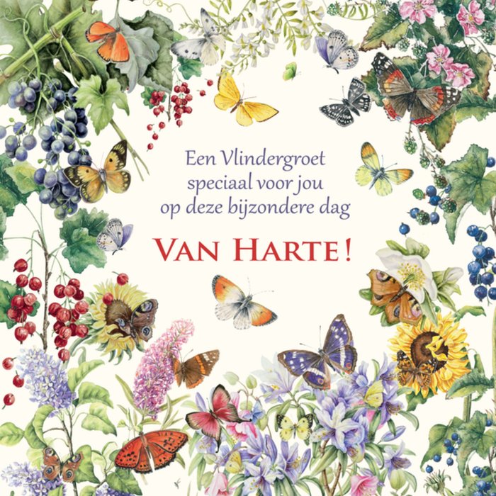 Verjaardagskaart | Janneke Brinkman | Vlindergroet