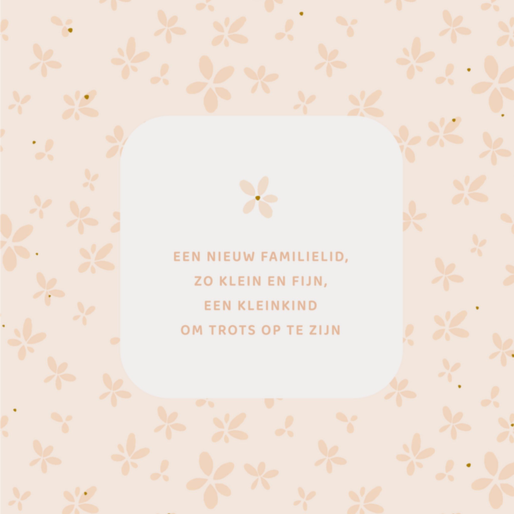 Greetz Geboortekaart Kleinkind Poem Vierkant