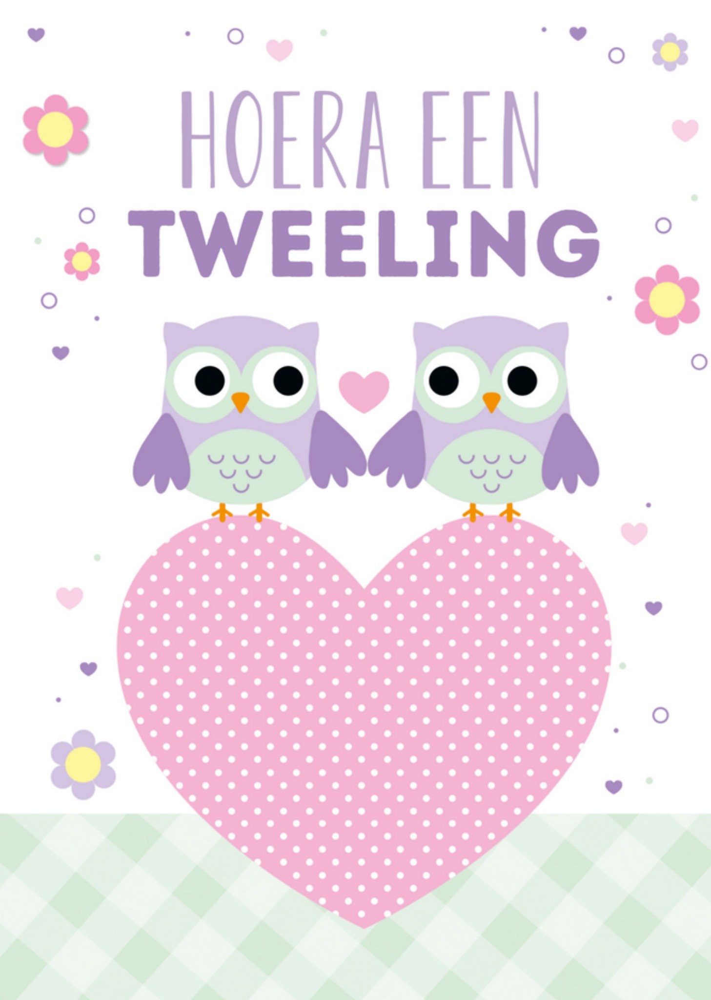 Geboortekaart Tweeling Uiltjes Kaart TMS