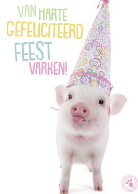 Studio Pets | Verjaardagskaart | Feest varken