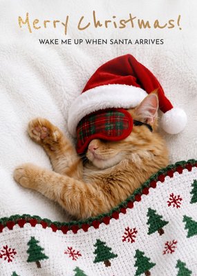 Maak Me Wakker Als De Kerstman Komt Kat Kerstkaart