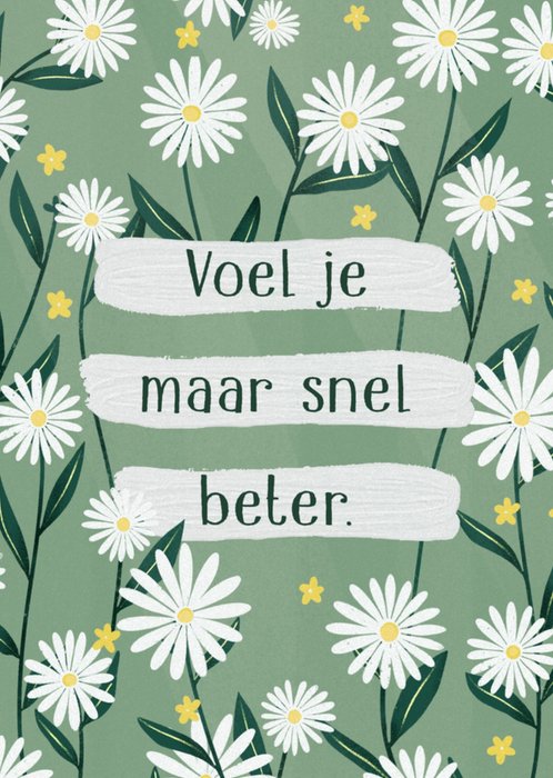 Greetz | Beterschapskaart | madeliefjes