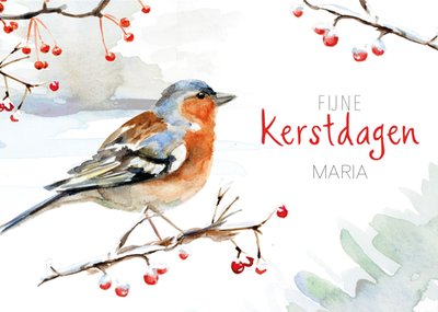 Michelle Dujardin | Kerstkaart | Vogel | Fijne kerstdagen