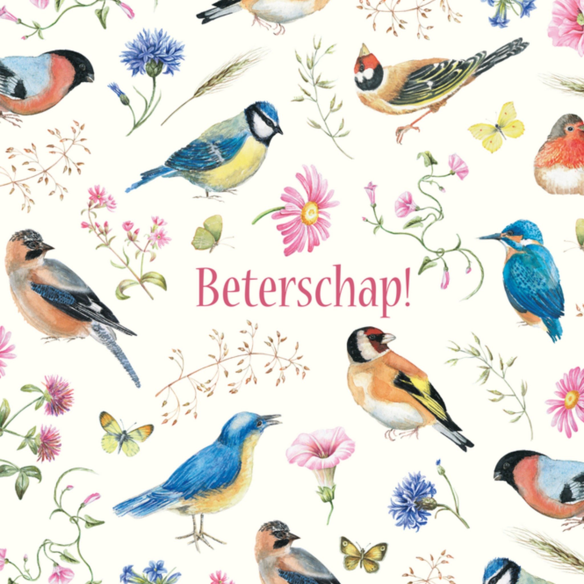 Beterschapskaart Vogels, bloemen en vlinders Vierkante Kaart Janneke Brinkman