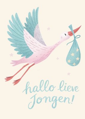 Greetz | Geboortekaart | Hallo lief Jongen!