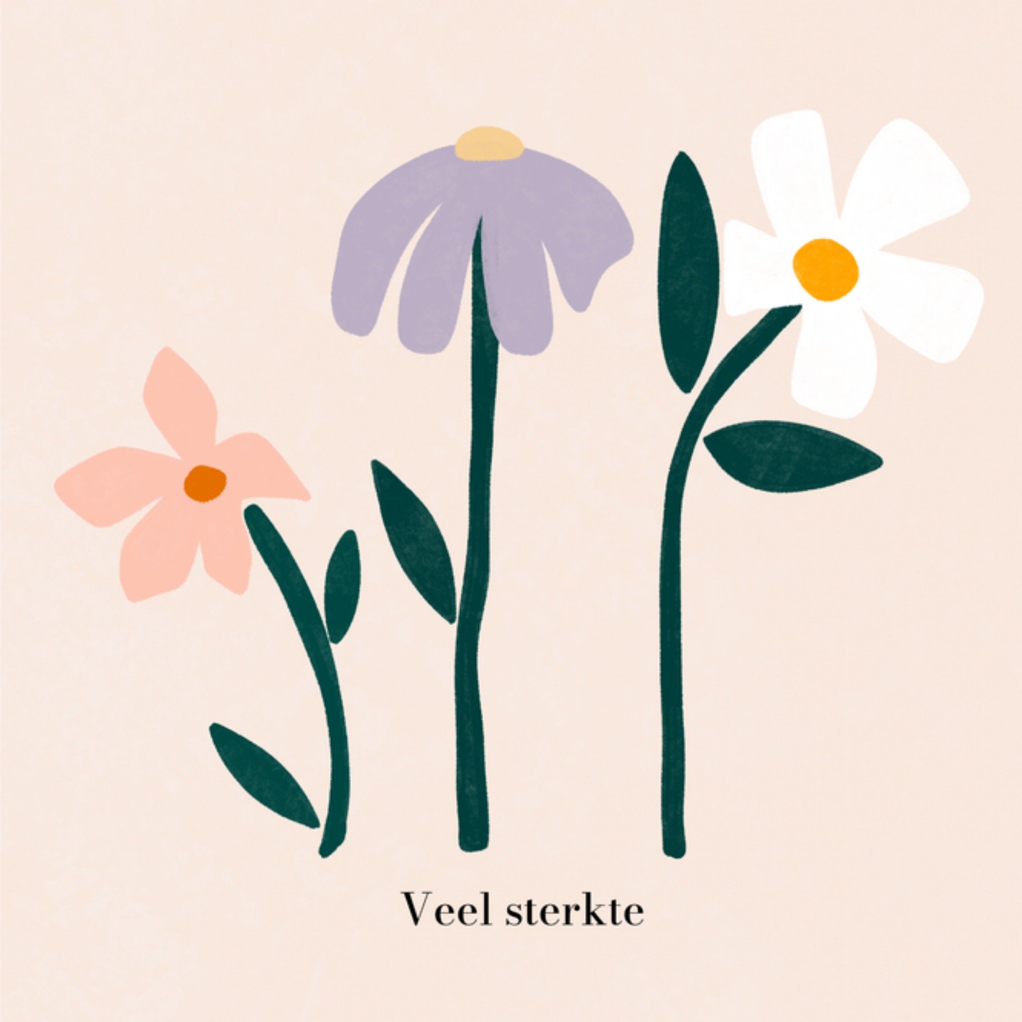 Greetz Condoleance Veel sterkte Vierkant