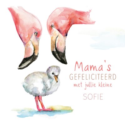 Michelle Dujardin | Geboortekaart | Mama's