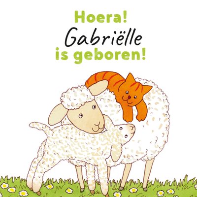 Dikkie Dik | Geboortekaart | Lief | Schaapjes