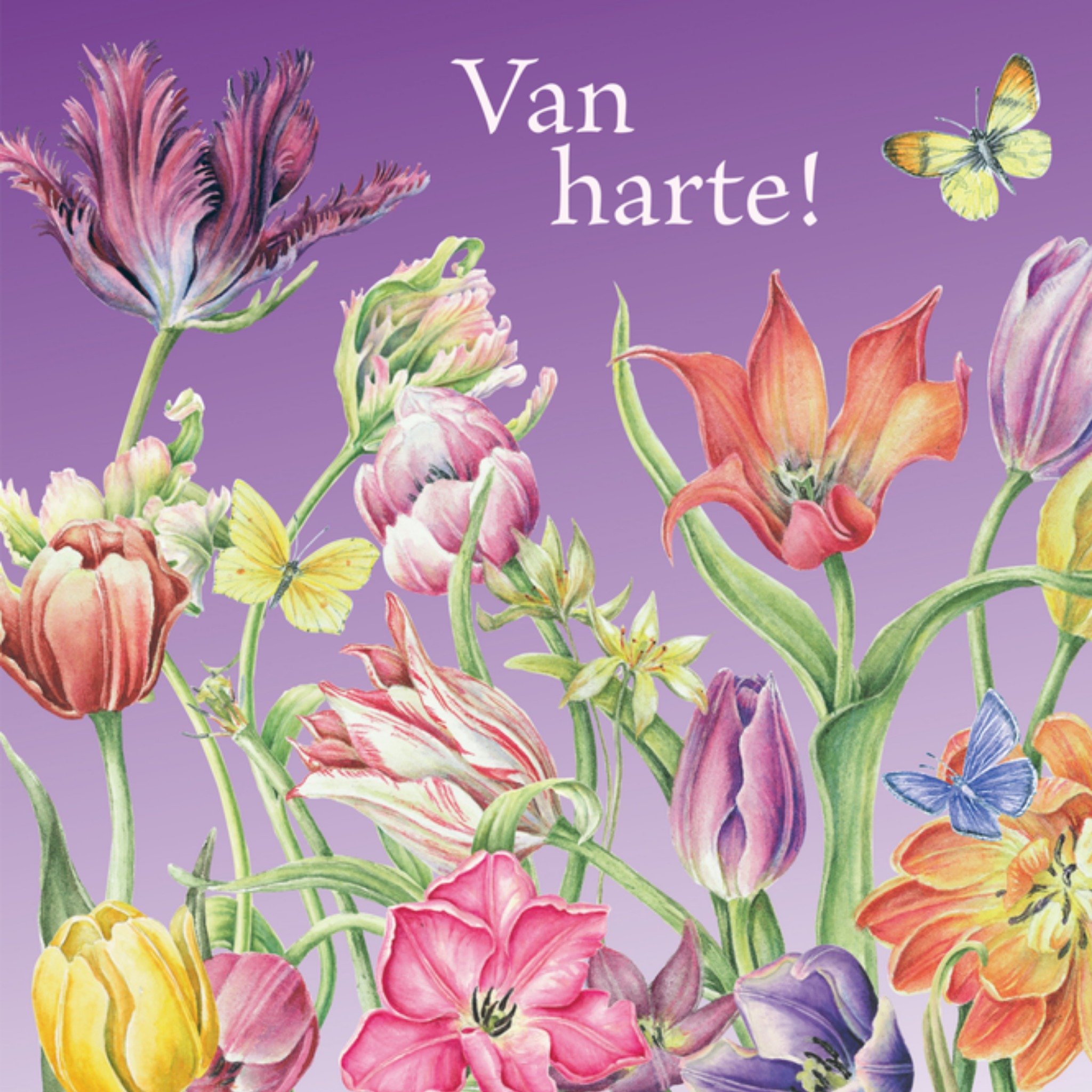 Vrolijke gekleurde felicitatiebloemen Vierkante Kaart Janneke Brinkman