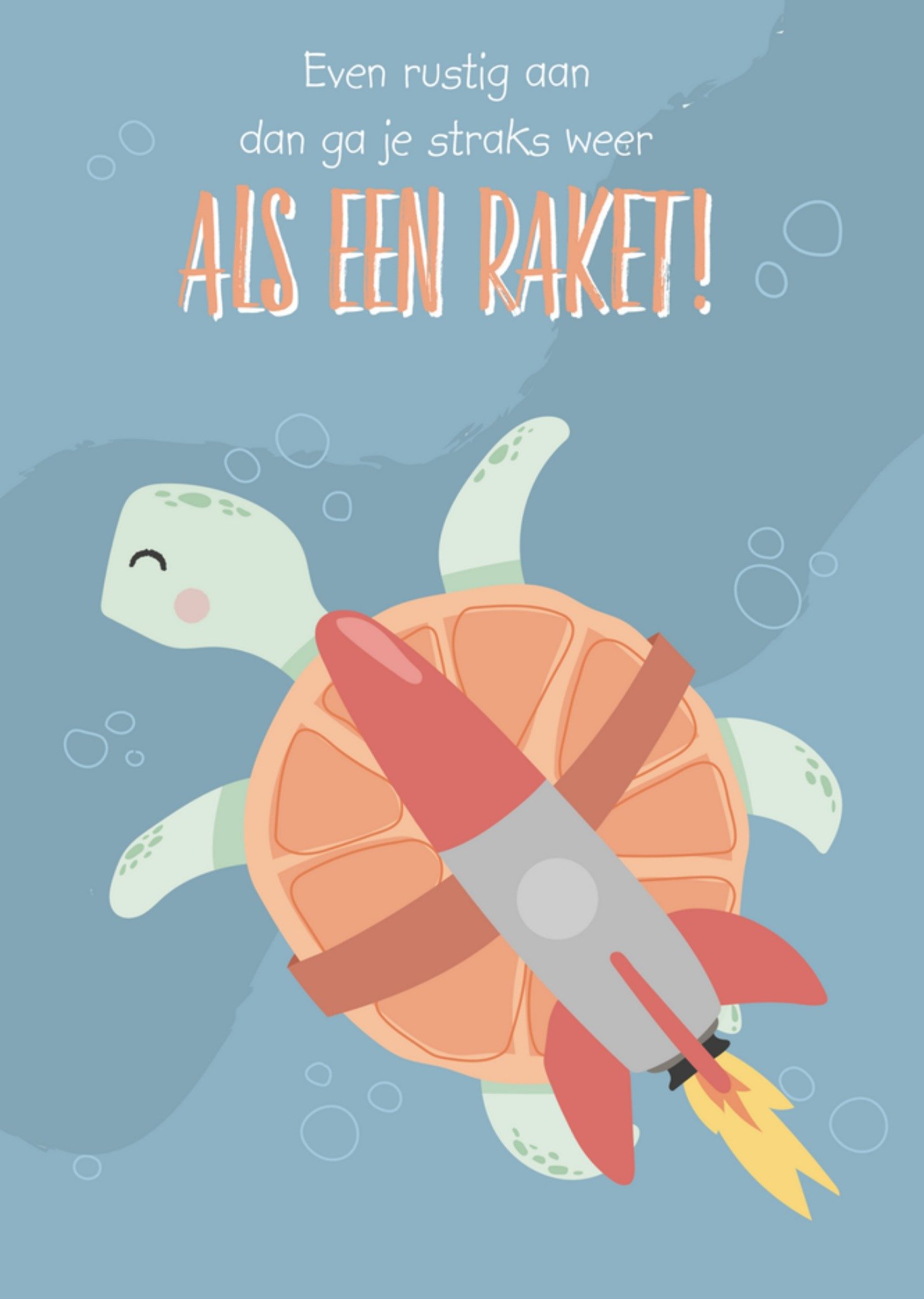 Beterschapskaart Schildpad Kaart Tante Kaartje