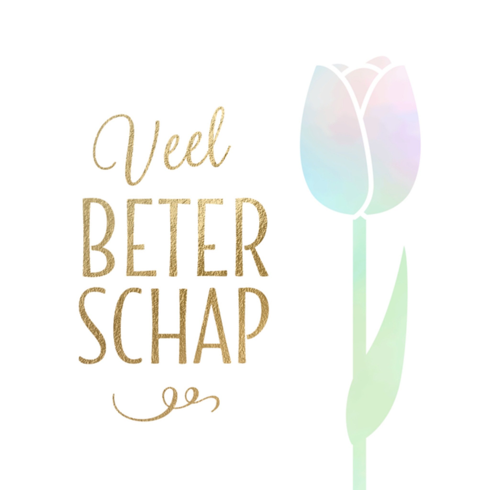 Beterschapskaart Tulp Vierkante Kaart Luckz