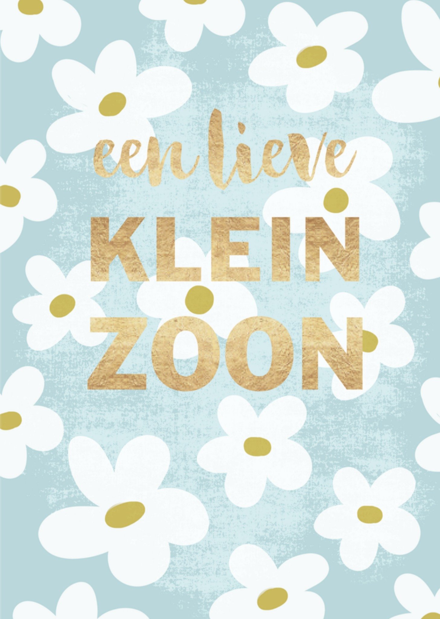 Geboortekaart Kleinzoon Kaart Tsjip