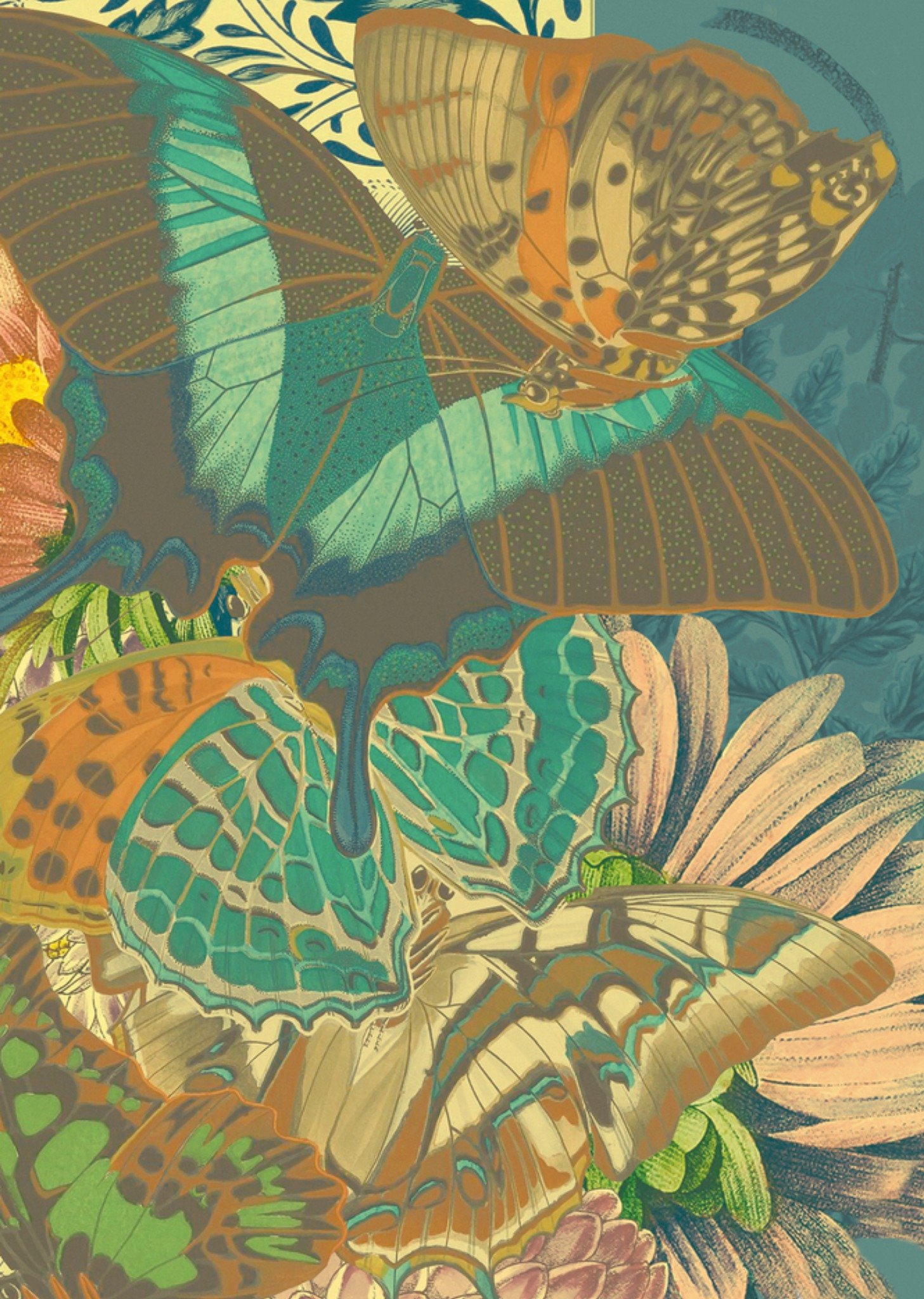 Condoleancekaart Vlinders Kaart NIN-NIT