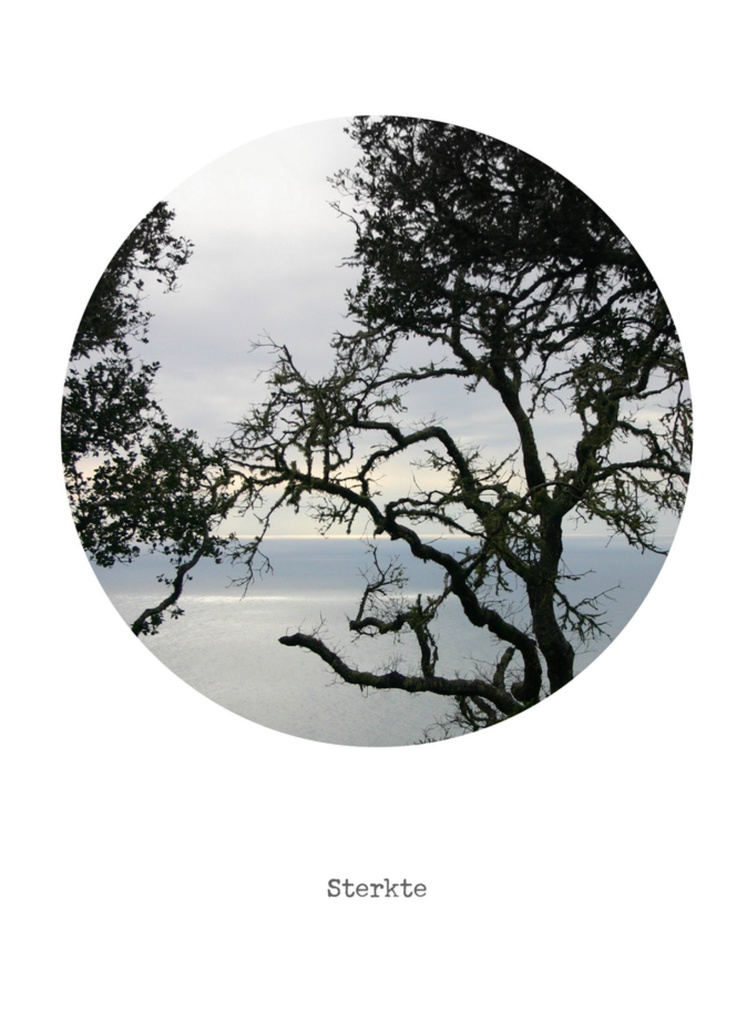 Condoleancekaart bomen Kaart Bright Spot