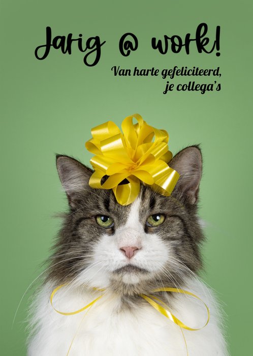 Catchy Images | Verjaardagskaart | Jarig at work!