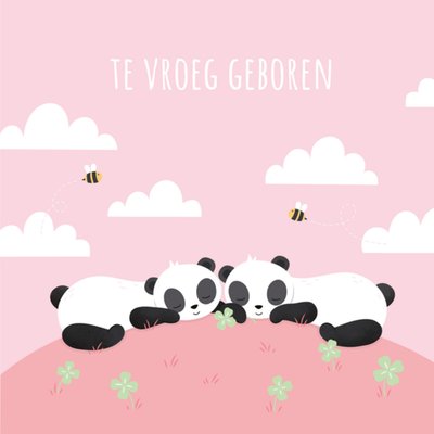 Kleine Twinkeltjes | Geboortekaart | panda