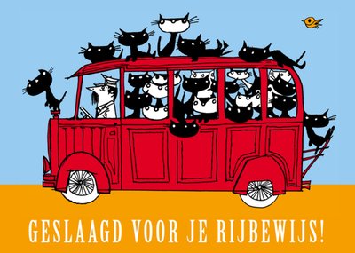 Fiep Westendorp | Geslaagd kaart | rijbewijs