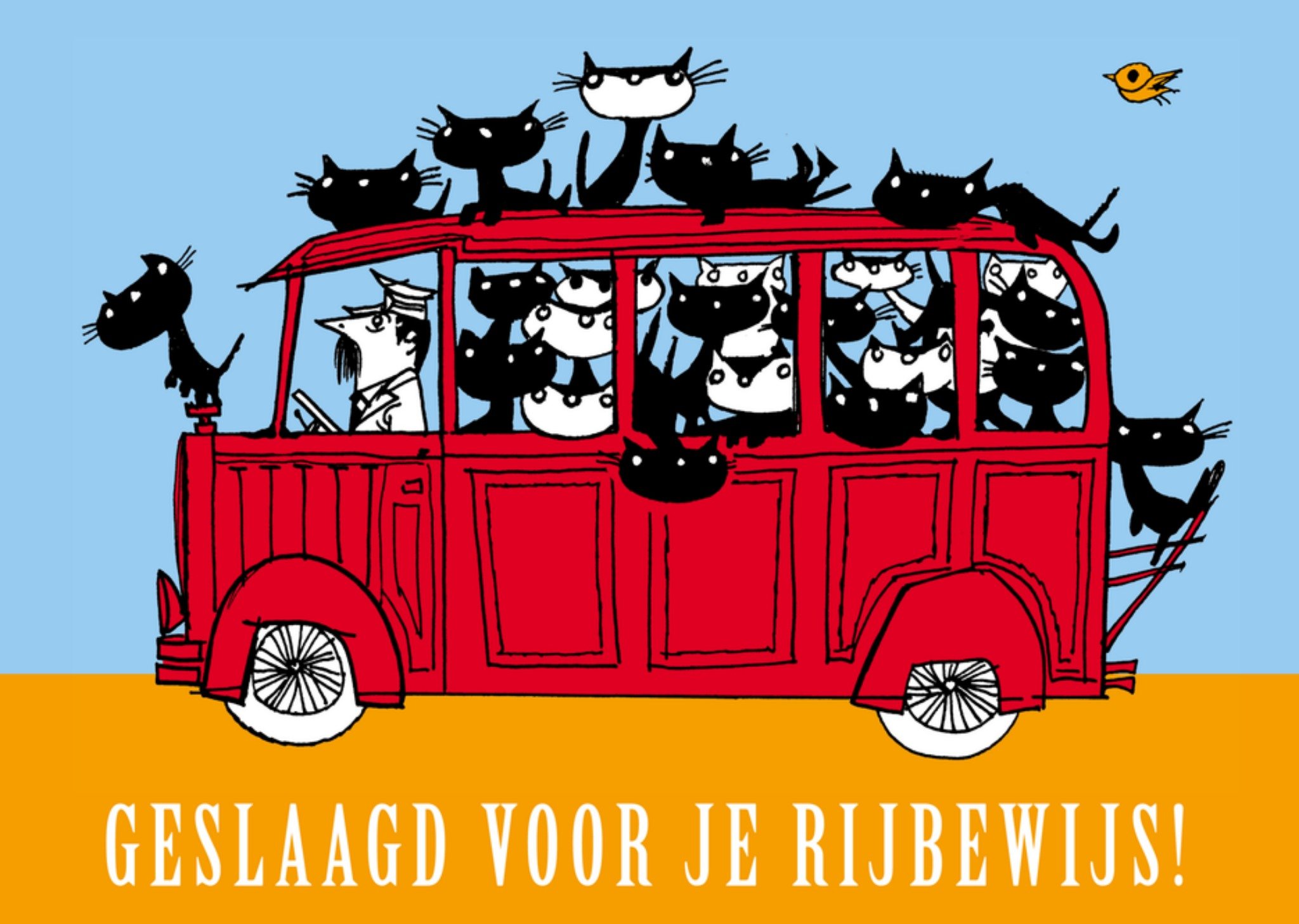 Fiep Westendorp | Geslaagd kaart | rijbewijs | Standard Card