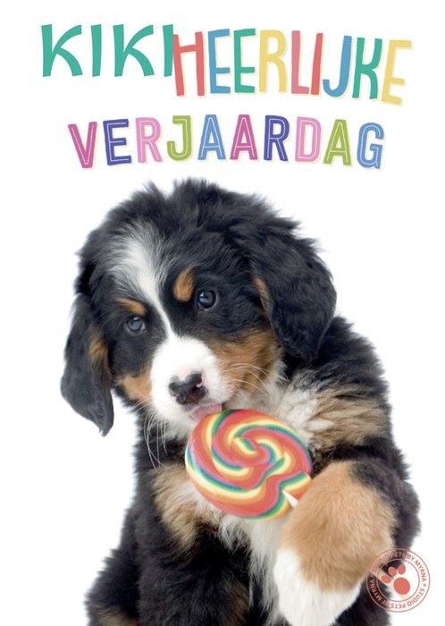 Studio Pets | Verjaardagskaart | Schattig