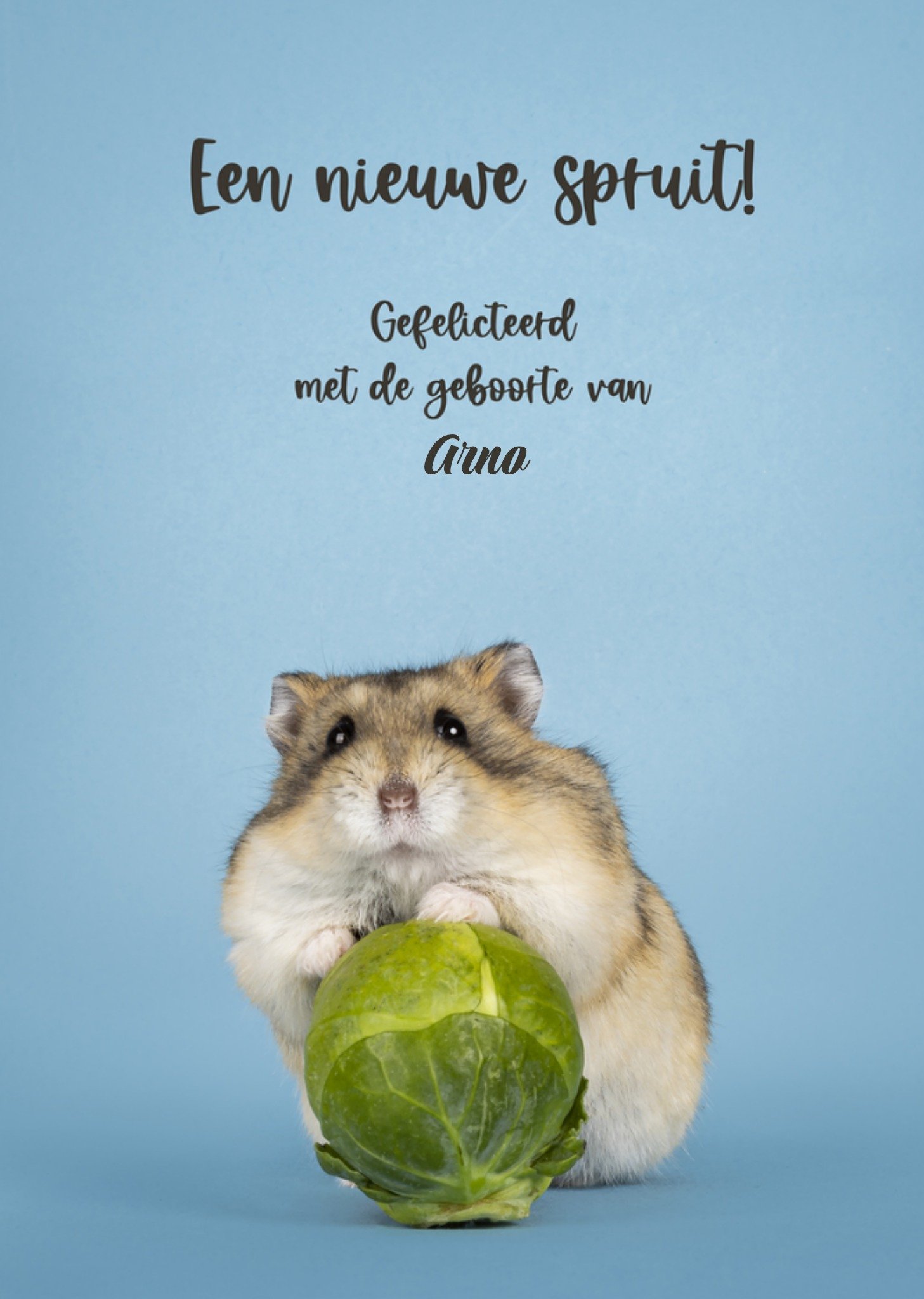 Geboortekaart met naam Kaart Catchy Images