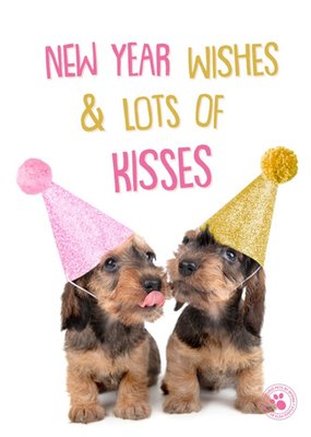 Studio Pets | Nieuwjaarskaart | New Year wishes