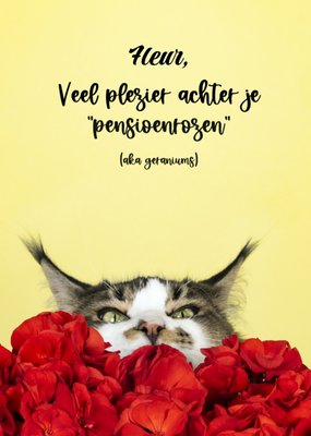 Veel Plezier Achter Je Pensioentoren Kat Geraniums Kaart