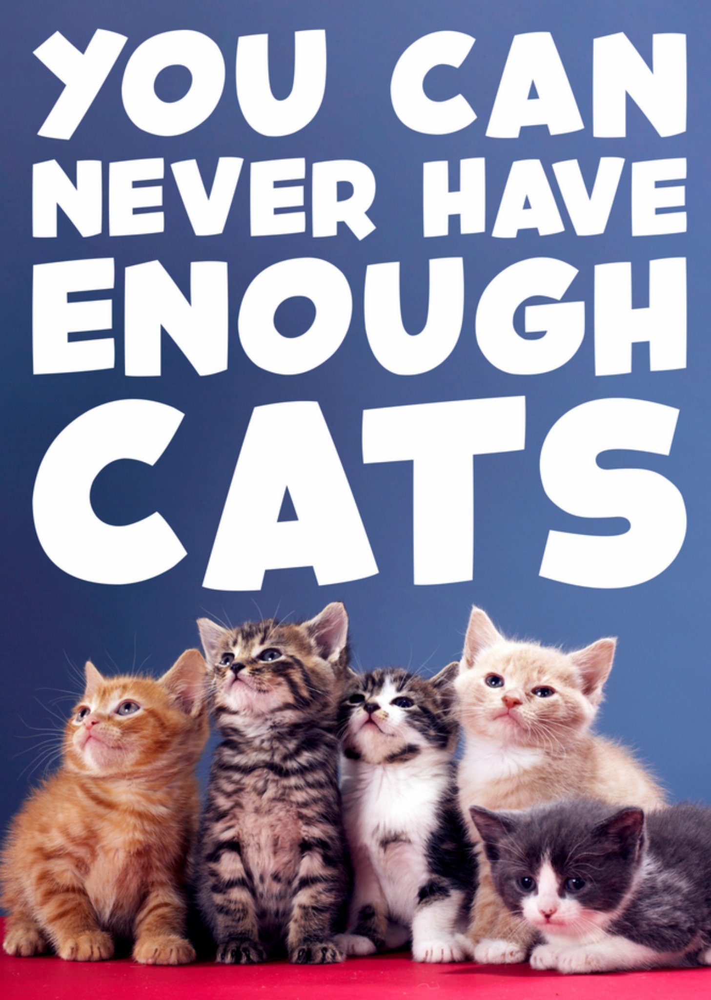 Verjaardagskaart katten Kaart Dean Morris