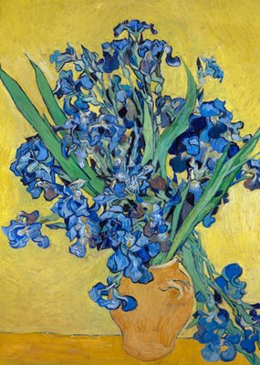 Klaas de Jong | Kunstkaart | Vaas met irissen