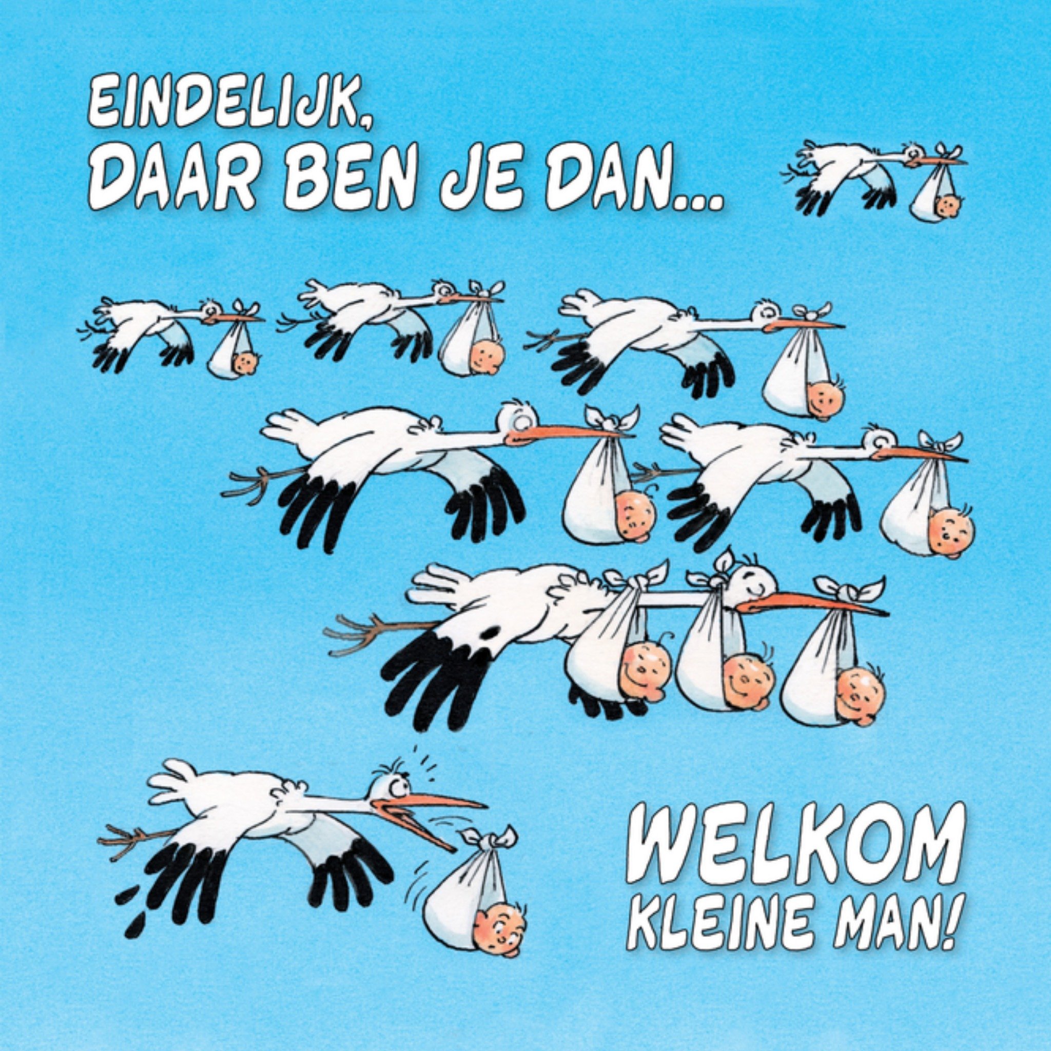 Geboortekaart Ooievaars Vierkante Kaart Jan van Haasteren